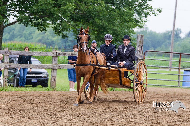 4H-2nd--072813-1470.jpg