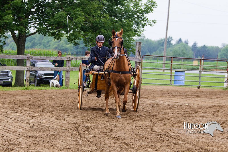 4H-2nd--072813-1471.jpg