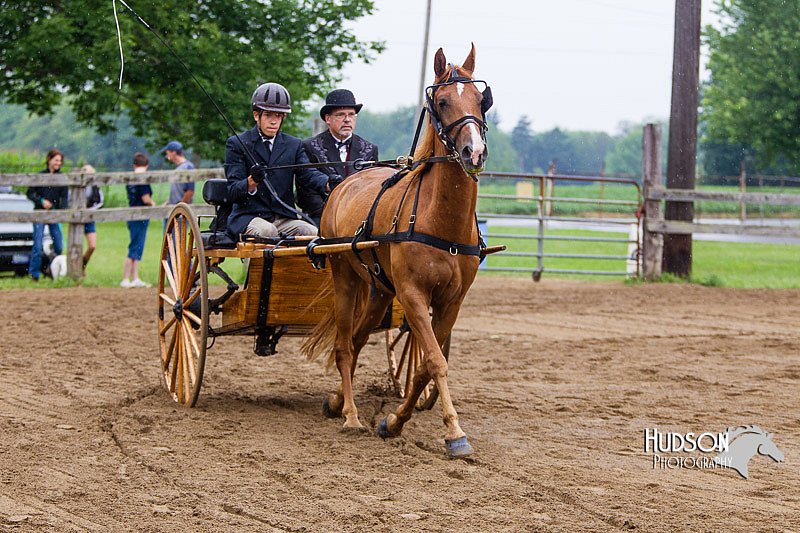 4H-2nd--072813-1472.jpg