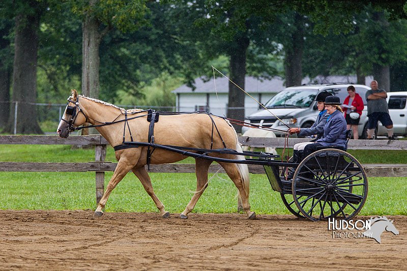 4H-2nd--072813-1474.jpg