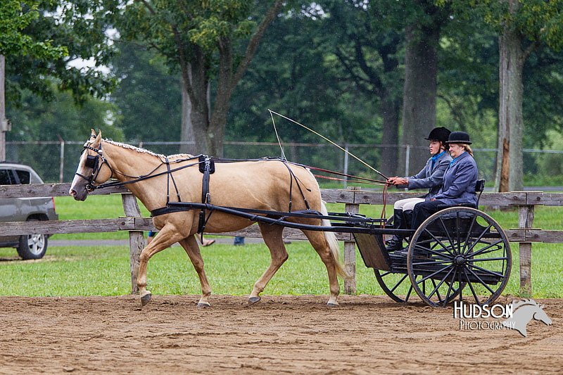 4H-2nd--072813-1475.jpg