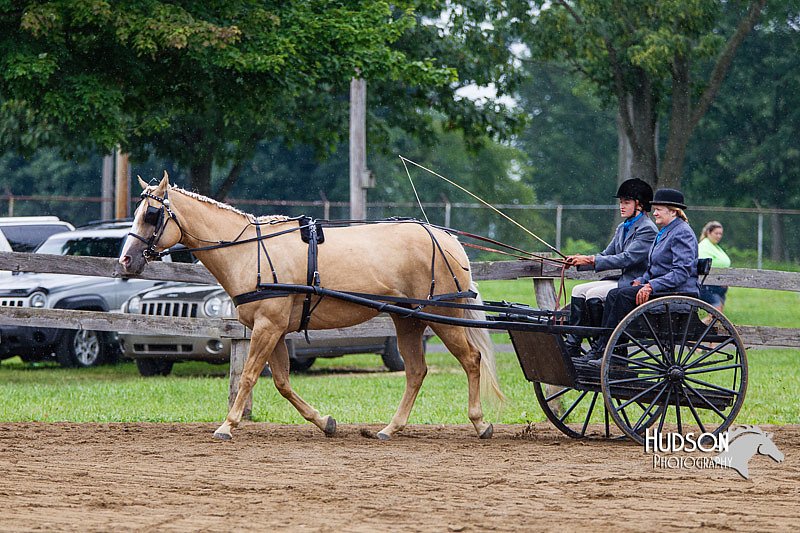 4H-2nd--072813-1476.jpg