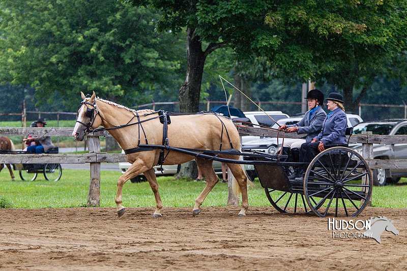 4H-2nd--072813-1477.jpg