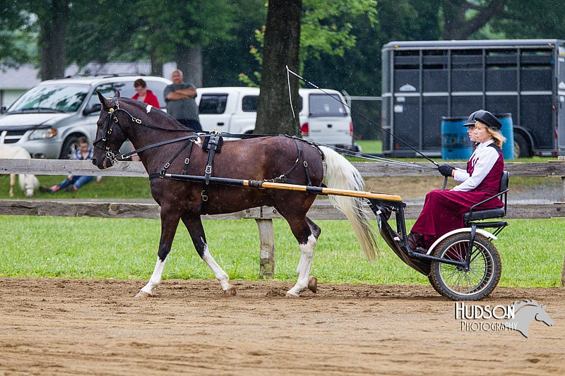 4H-2nd--072813-1478.jpg