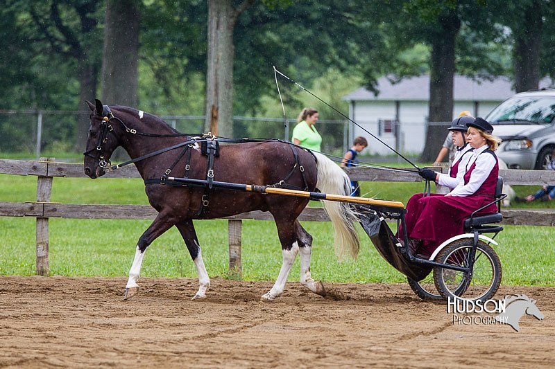 4H-2nd--072813-1479.jpg