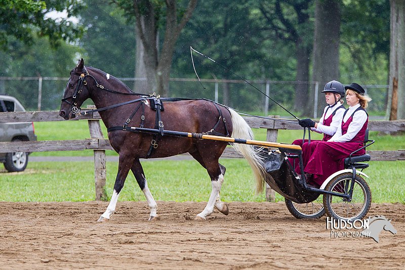 4H-2nd--072813-1480.jpg