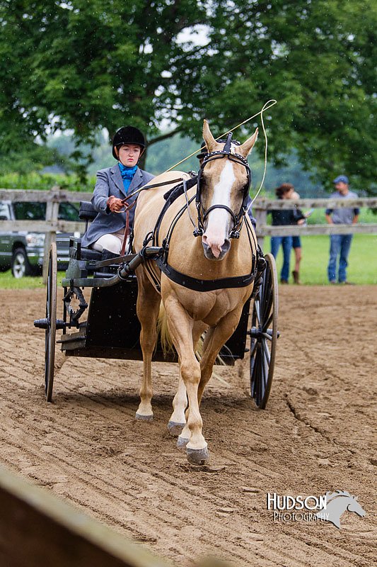 4H-2nd--072813-1481.jpg