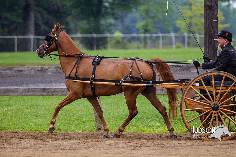 4H-2nd--072813-1484.jpg