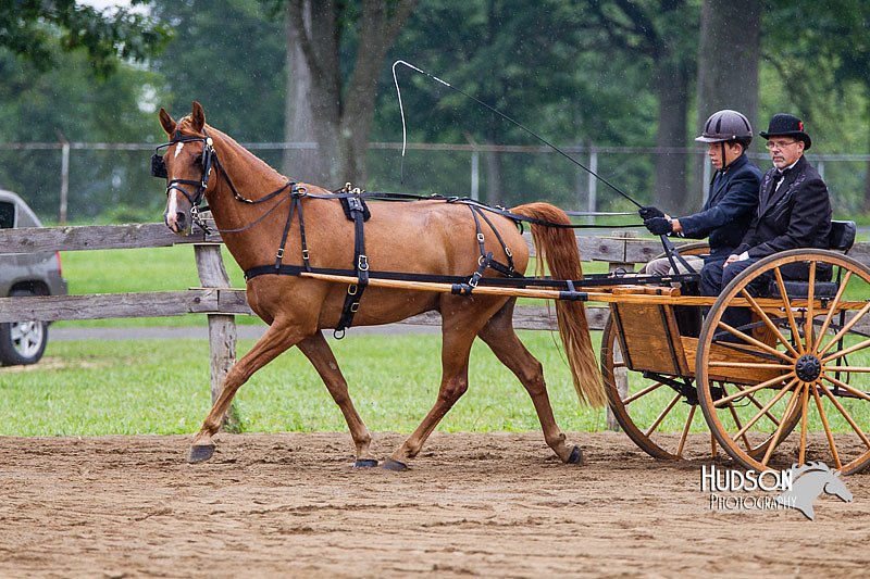 4H-2nd--072813-1487.jpg