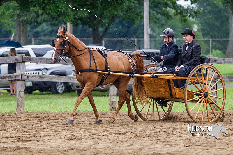 4H-2nd--072813-1488.jpg