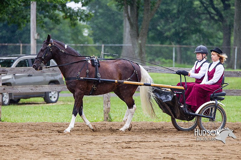 4H-2nd--072813-1490.jpg