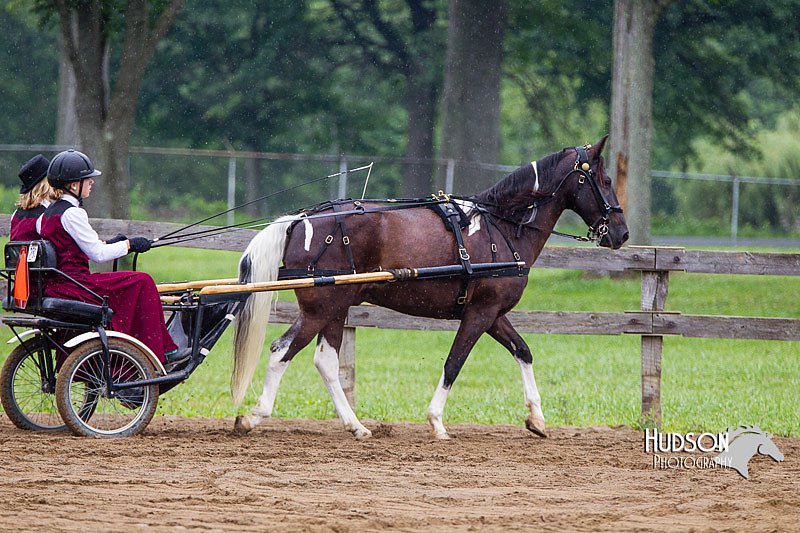 4H-2nd--072813-1494.jpg