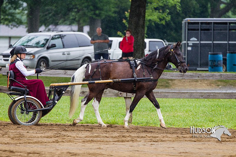 4H-2nd--072813-1496.jpg
