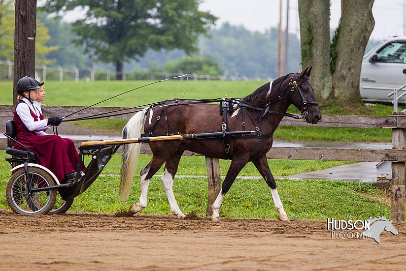 4H-2nd--072813-1497.jpg