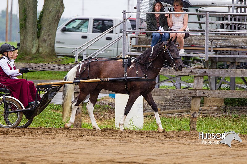 4H-2nd--072813-1498.jpg