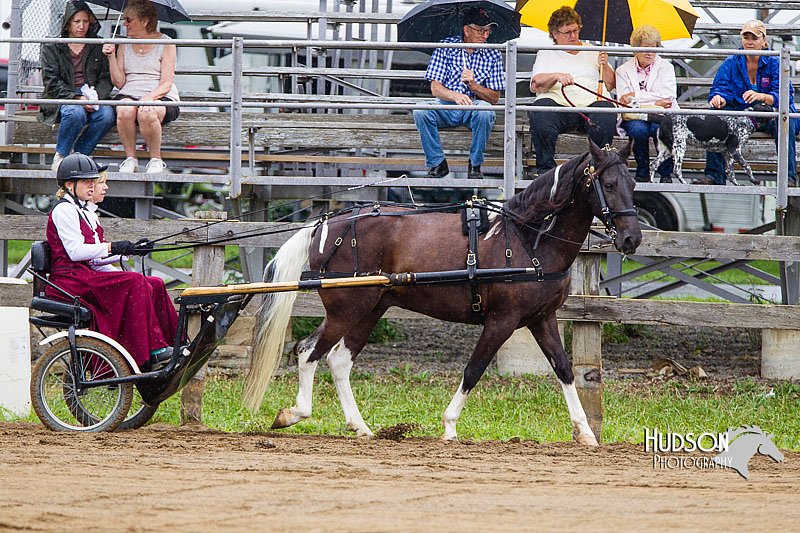 4H-2nd--072813-1500.jpg