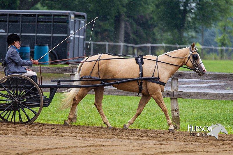 4H-2nd--072813-1501.jpg