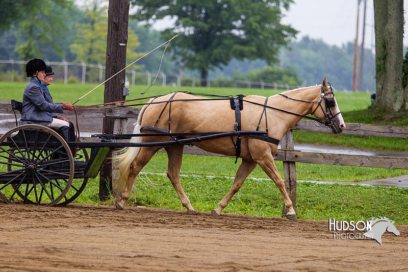 4H-2nd--072813-1502.jpg