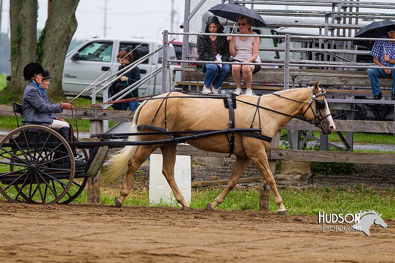 4H-2nd--072813-1503.jpg