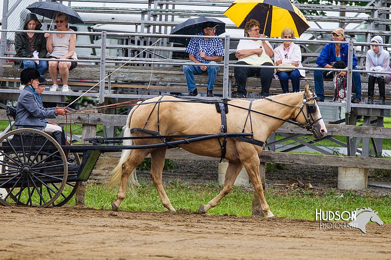 4H-2nd--072813-1504.jpg