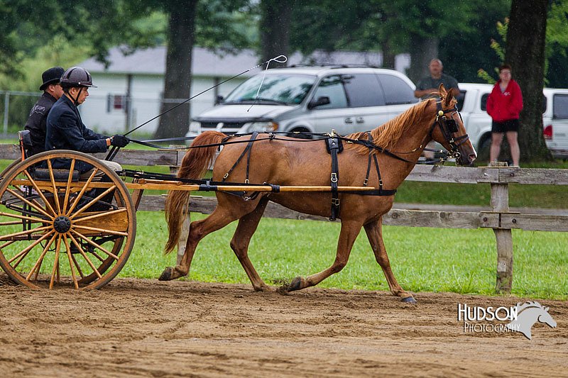 4H-2nd--072813-1505.jpg