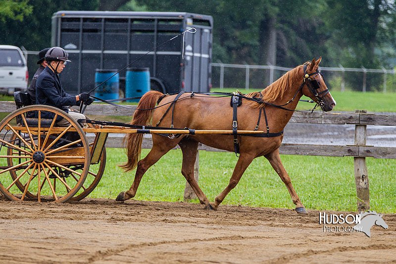 4H-2nd--072813-1506.jpg