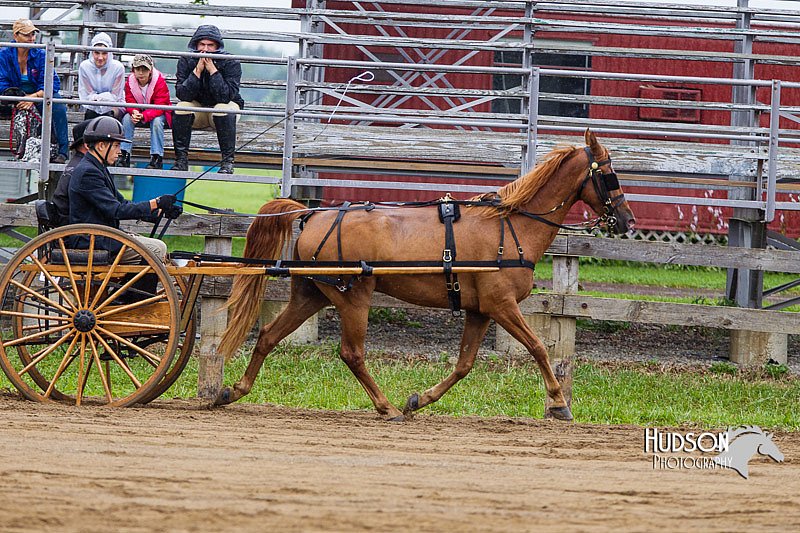 4H-2nd--072813-1508.jpg