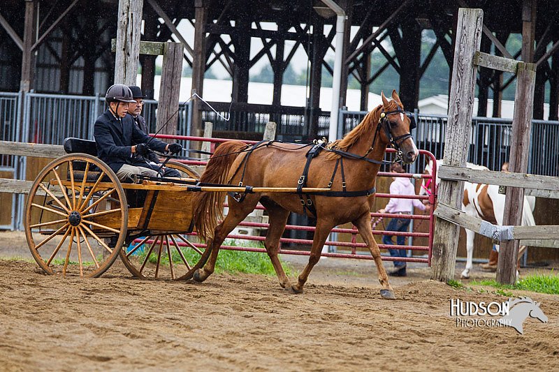 4H-2nd--072813-1510.jpg