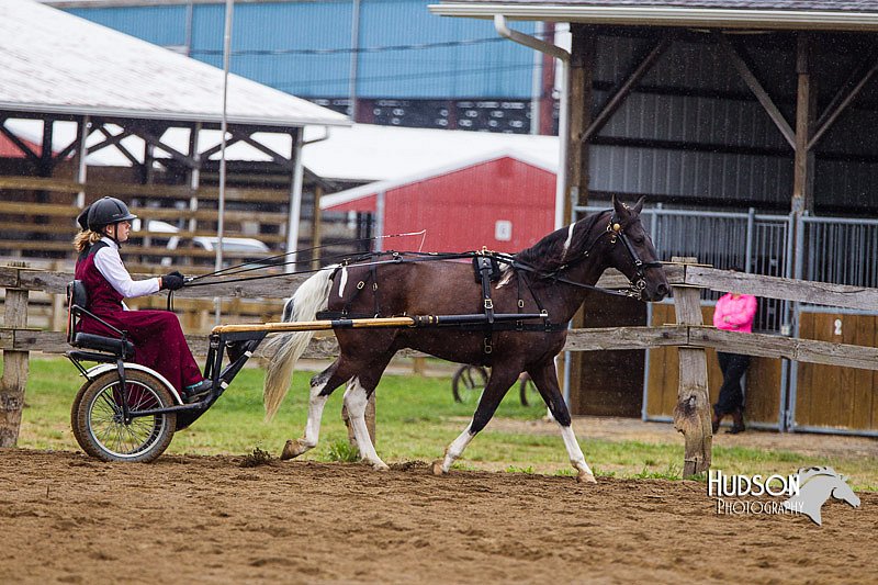 4H-2nd--072813-1511.jpg