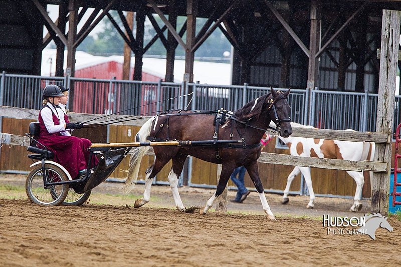 4H-2nd--072813-1512.jpg
