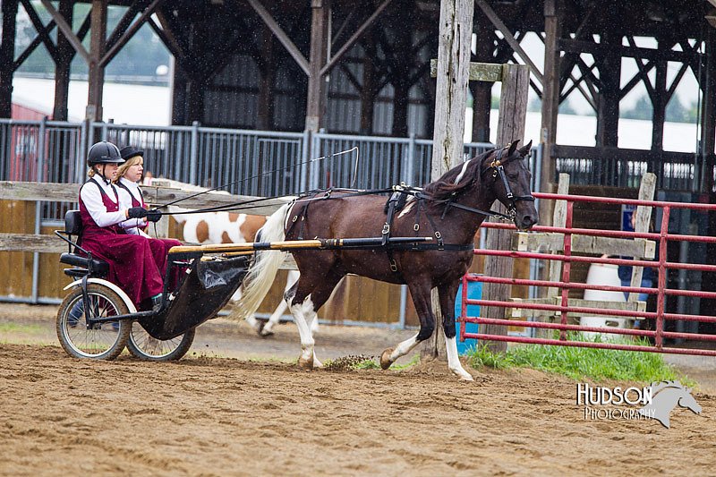 4H-2nd--072813-1513.jpg