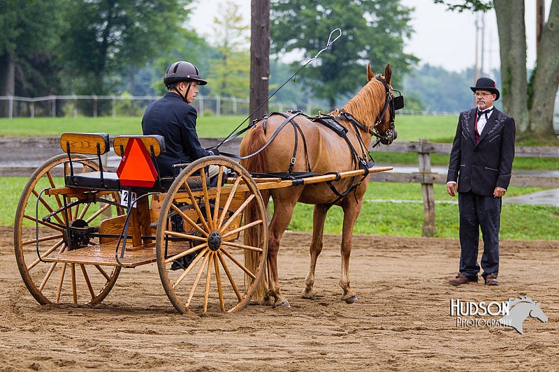 4H-2nd--072813-1523.jpg