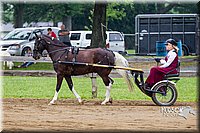 4H-2nd--072813-1478.jpg
