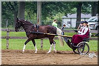 4H-2nd--072813-1479.jpg