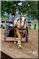 4H-2nd--072813-1481.jpg