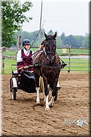 4H-2nd--072813-1482.jpg