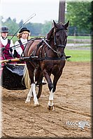 4H-2nd--072813-1483.jpg