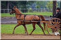 4H-2nd--072813-1484.jpg