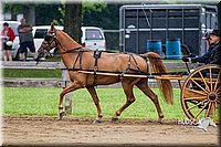 4H-2nd--072813-1485.jpg