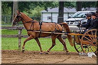 4H-2nd--072813-1486.jpg