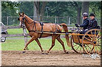 4H-2nd--072813-1487.jpg