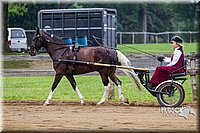 4H-2nd--072813-1489.jpg