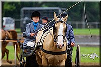 4H-2nd--072813-1492.jpg