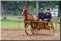 4H-2nd--072813-1493.jpg