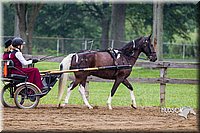 4H-2nd--072813-1494.jpg