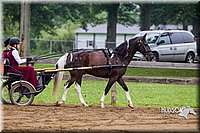 4H-2nd--072813-1495.jpg