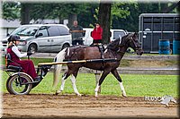 4H-2nd--072813-1496.jpg