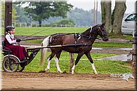4H-2nd--072813-1497.jpg