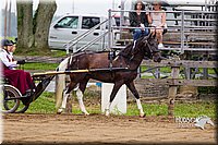 4H-2nd--072813-1498.jpg