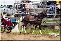 4H-2nd--072813-1499.jpg